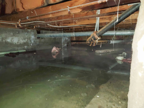 Best 24-hour water damage restoration  in Clarksdale, MS