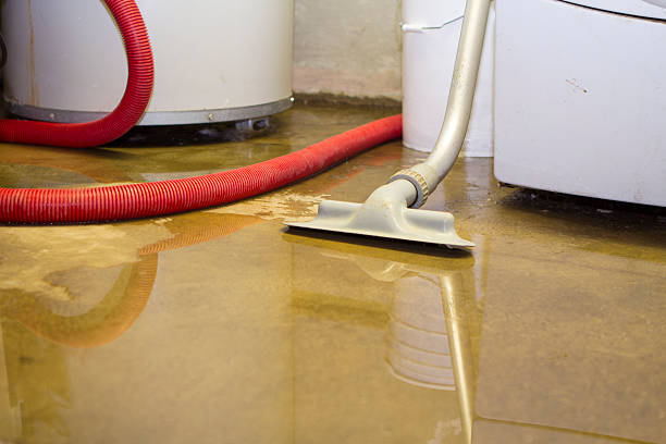 Best Flooded house restoration  in Clarksdale, MS