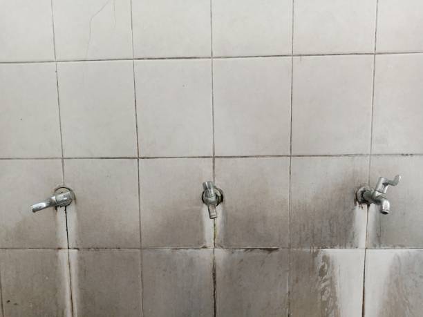  Clarksdale, MS Water damage restoration Pros