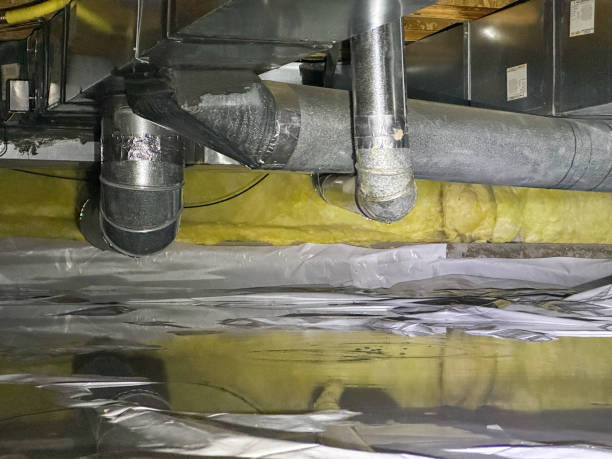 Best Water damage contractors near me  in Clarksdale, MS
